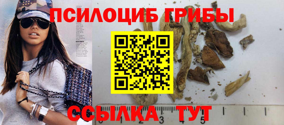 Псилоцибиновые грибы Psilocybine cubensis Можайск